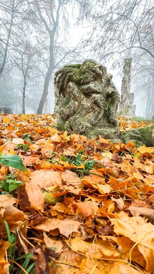 Моторошний луцький парк у полоні туману. ФОТО