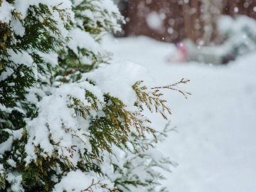 Погода в Луцьку та Волинській області на вівторок, 26 січня
