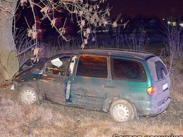 У Нововолинську легковик врізався в дерево: водія госпіталізували. ФОТО