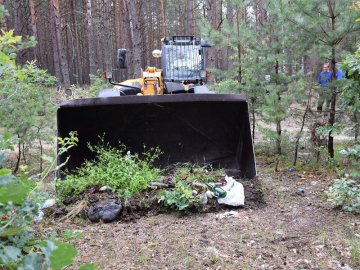 Руки не справляються: волинські лісівники нарікають на стихійні сміттєзвалища