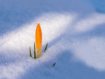 Погода в Луцьку та Волинській області на вихідні, 9 і 10 лютого