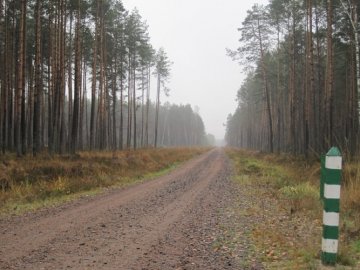 Волинські лісівники збудували сотні кілометрів доріг
