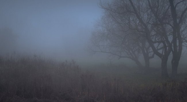 Туманна Волинь на світлинах луцького фотографа