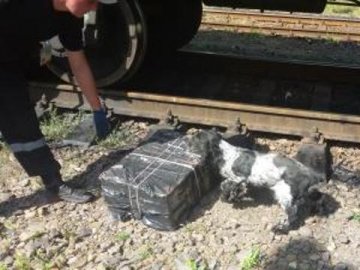 У вагоні потяга на пункті пропуску «Володимир-Волинський» виявили контрабанду цигарок