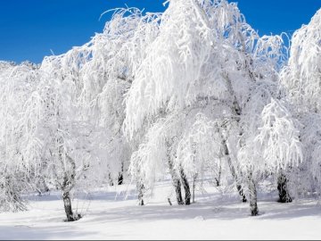 Погода в Луцьку та Волинській області на вівторок, 27 лютого