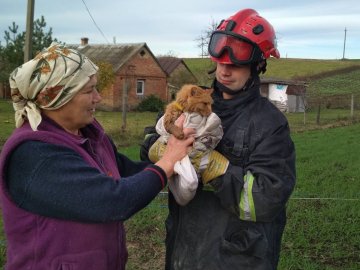 У Луцькому районі рятувальники визволили кота із закинутої 10-метрової криниці