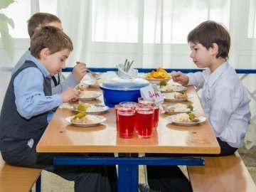 Чи повинна держава забезпечити харчування школярів: результати опитування