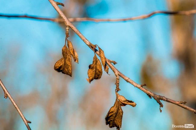 Луцьк в останній осінній день. ФОТОРЕПОРТАЖ