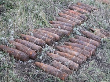 Суцільне розмінування волинського села: знешкодили понад 100 боєприпасів