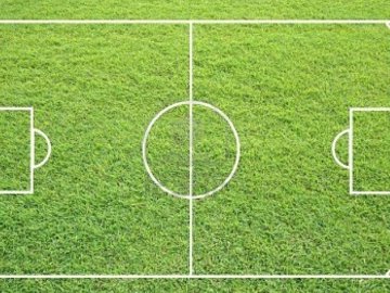 Футбольні поля біля шкіл Луцька можуть стати платними