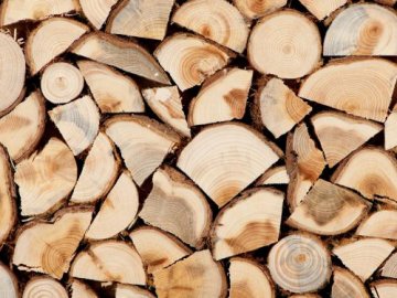 Як придбати дрова у лісгоспах Волині