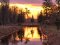 Казковий захід сонця у луцькому парку. ФОТО