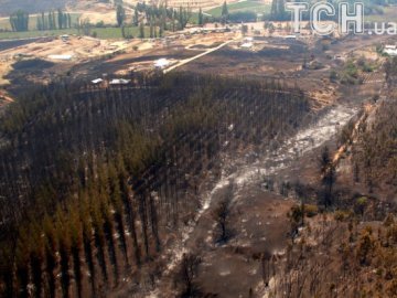 Фото масштабних лісових пожеж у Чилі