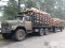 На Волині затримали три вантажівки із незаконною деревиною. ФОТО