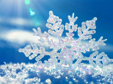 Погода в Луцьку та Волинській області на п’ятницю, 24 січня