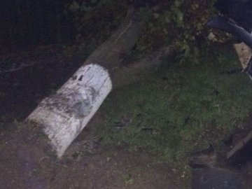 Аварія в Луцьку: 5 постраждалих