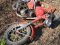 Не впорався з керуванням: на Рівненщині від удару об дерево загинув мотоцикліст