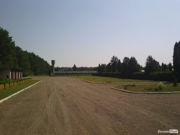 Волинський лісорозсадник - один з найбільших в Україні. ФОТО Волинський лісорозсадник - один з найбільших в Україні. ФОТО