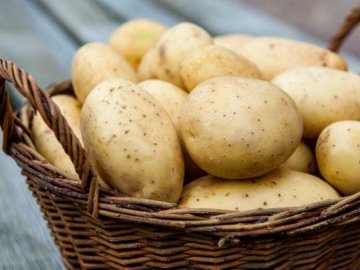 В Україну ввезли майже 93 тисячі тонн картоплі