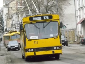 Романюк мріє, щоб всі маршрутки у Луцьку замінили на тролейбуси