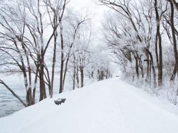 Погода в Луцьку та Волинській області на вівторок, 31 січня