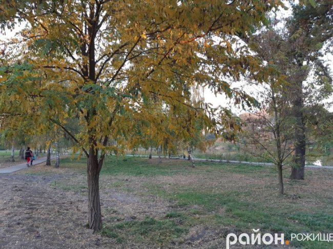 Місто на Волині восени: жовто-багряна краса. ФОТО