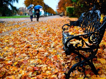 Погода в Луцьку та Волинській області на четвер, 5 листопада
