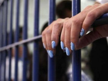 Українку засудили у США на 20 років за порноролики з дворічною донькою