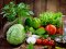 В Україні ціни на популярний овоч б'ють рекорди
