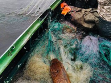На заплаві річки Стир виявили 9 браконьєрських риболовних сіток