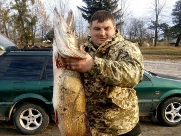 «Щучий» рекорд: як волинянин упіймав гігантську рибину на озері. ФОТО