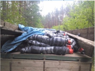 Двоє українців намагались перевезти до Білорусії 42 телячі тушки