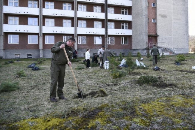 Біля лікарні у Боголюбах посадили парк для реабілітації українських воїнів. ФОТО