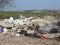 Пластик і мертві свині: на околцях Нововолинська влаштували стихійне звалище