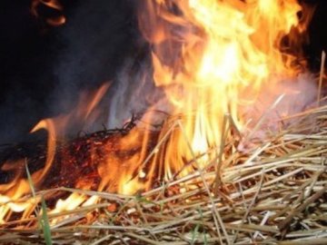 У селі поблизу Луцька спіймали чоловіка, який підпалив суху траву та солому