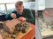 Військова техніка в мініатюрі: ковельчанин передав волинському музею діораму на історичну тематику