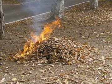 У Луцьку закликають не спалювати листя і сміття