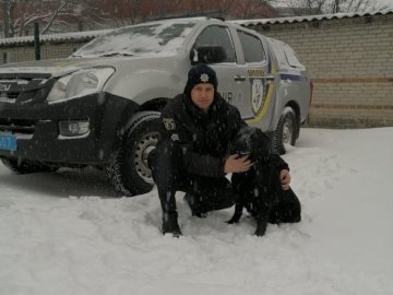 На Волині службовий поліцейський собака допоміг розкрити викрадення мопеда