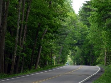 На Волині відкрили новий лісовий автомобільний шлях