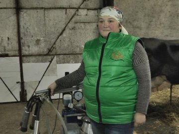 У селі на Волині власники молочної ферми не мають пасовища для корів. ВІДЕО