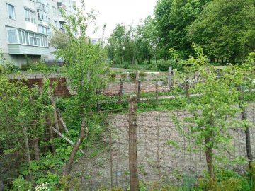 Гниле дерево та ржавий метал: війна з городами в Луцьку триває