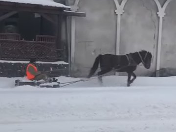 На Львівщині чоловік запряг коня у сани, щоб почистити тротуари від снігу. ВІДЕО