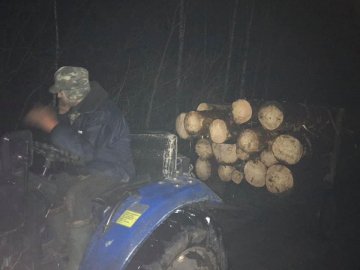 На Волині піймали лісокрада, який «наламав дров» на майже 100 тисяч гривень 