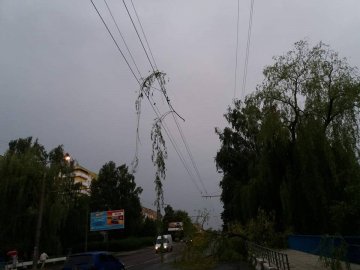 Гілля на проводах та потрощені дерева: луцький проспект після бурі. ФОТО