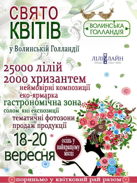 Найбільше поле лілій в Україні: «Волинська Голландія» влаштовує яскраве свято квітів