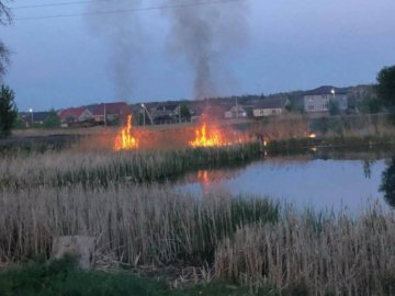 Хлопці, які підпалили сухий очерет біля озера на Волині, знімали пожежу на мобільний. ВІДЕО