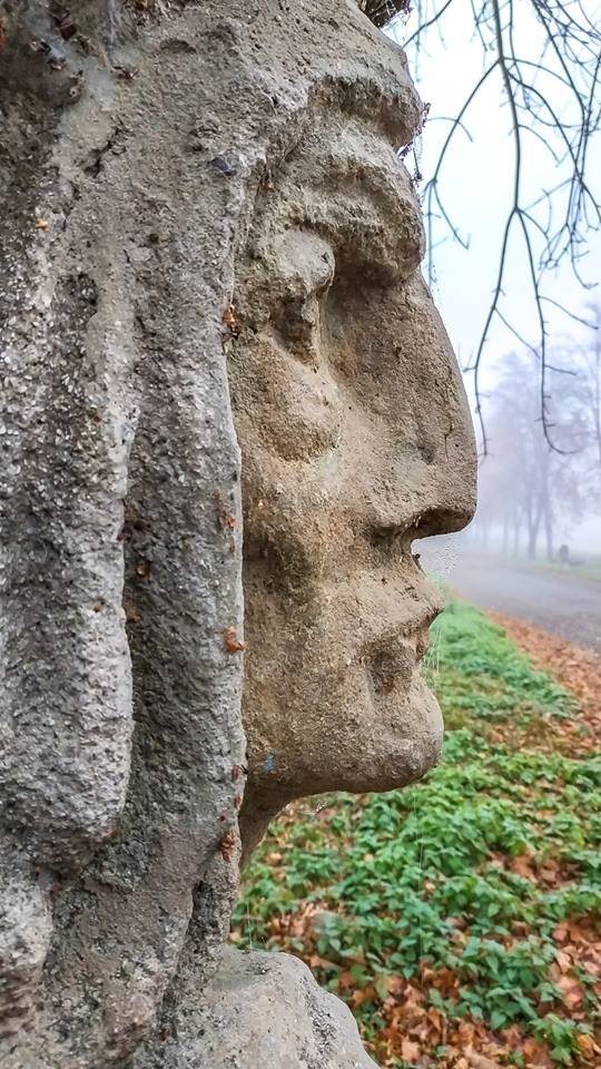 Моторошний луцький парк у полоні туману. ФОТО