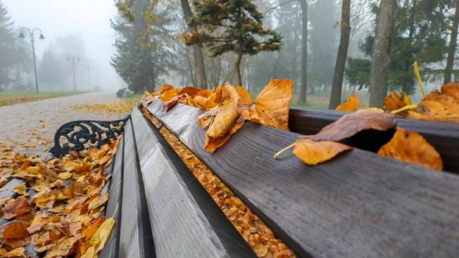 Моторошний луцький парк у полоні туману. ФОТО