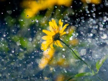 Грозові дощі та спека: якими будуть останні дні весни