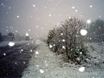 Погода в Луцьку та Волинській області на четвер, 12 січня